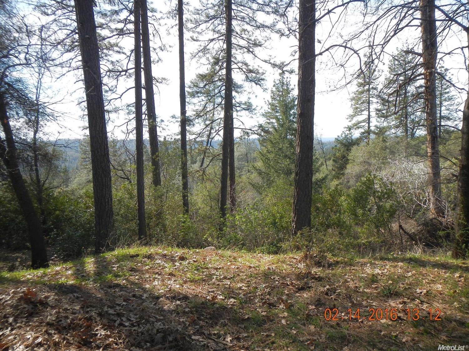 1850 Whispering Wind Dr, Placerville, CA 95667 photo 18