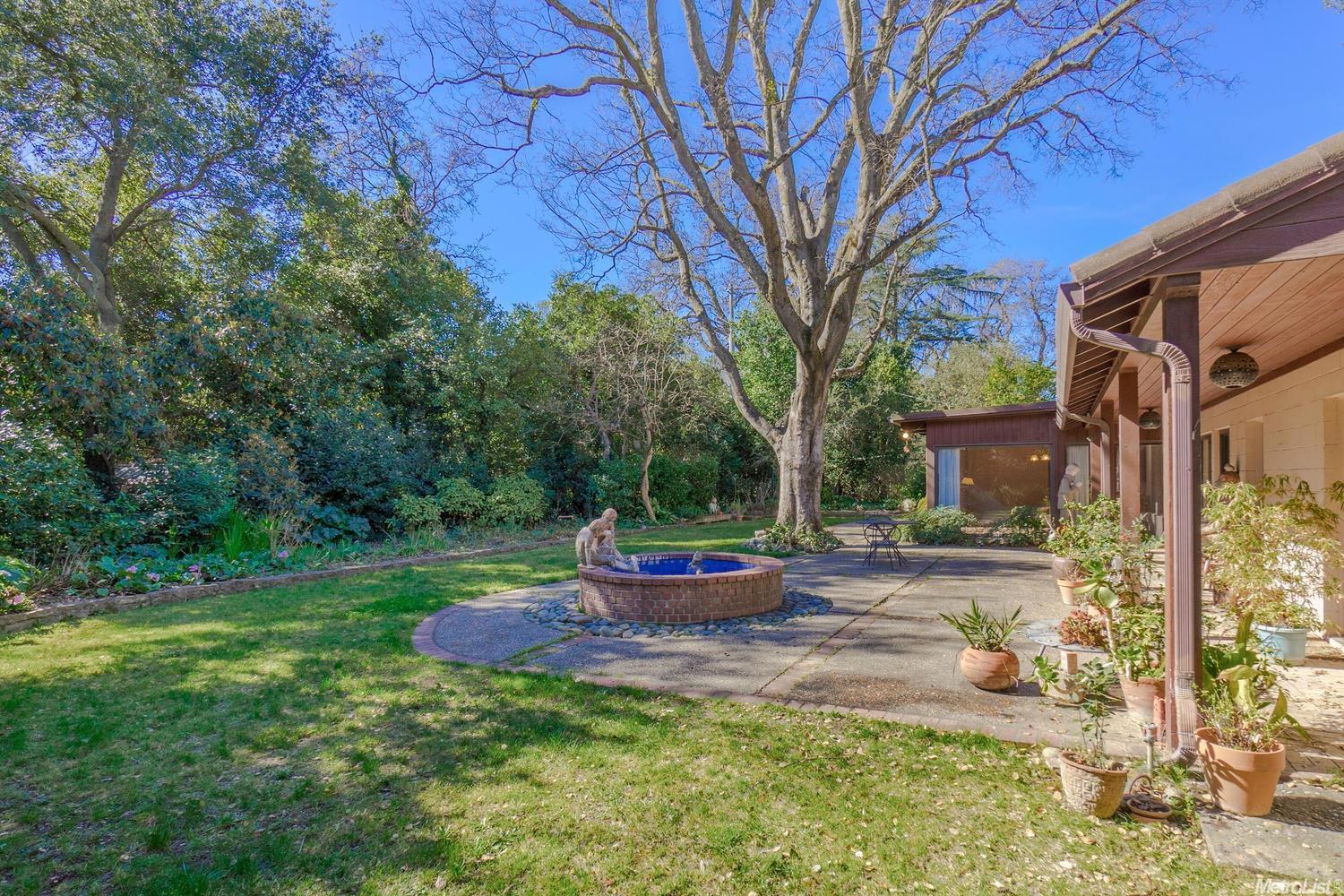 27354 Willowbank Rd, Davis, CA 95618 photo 5