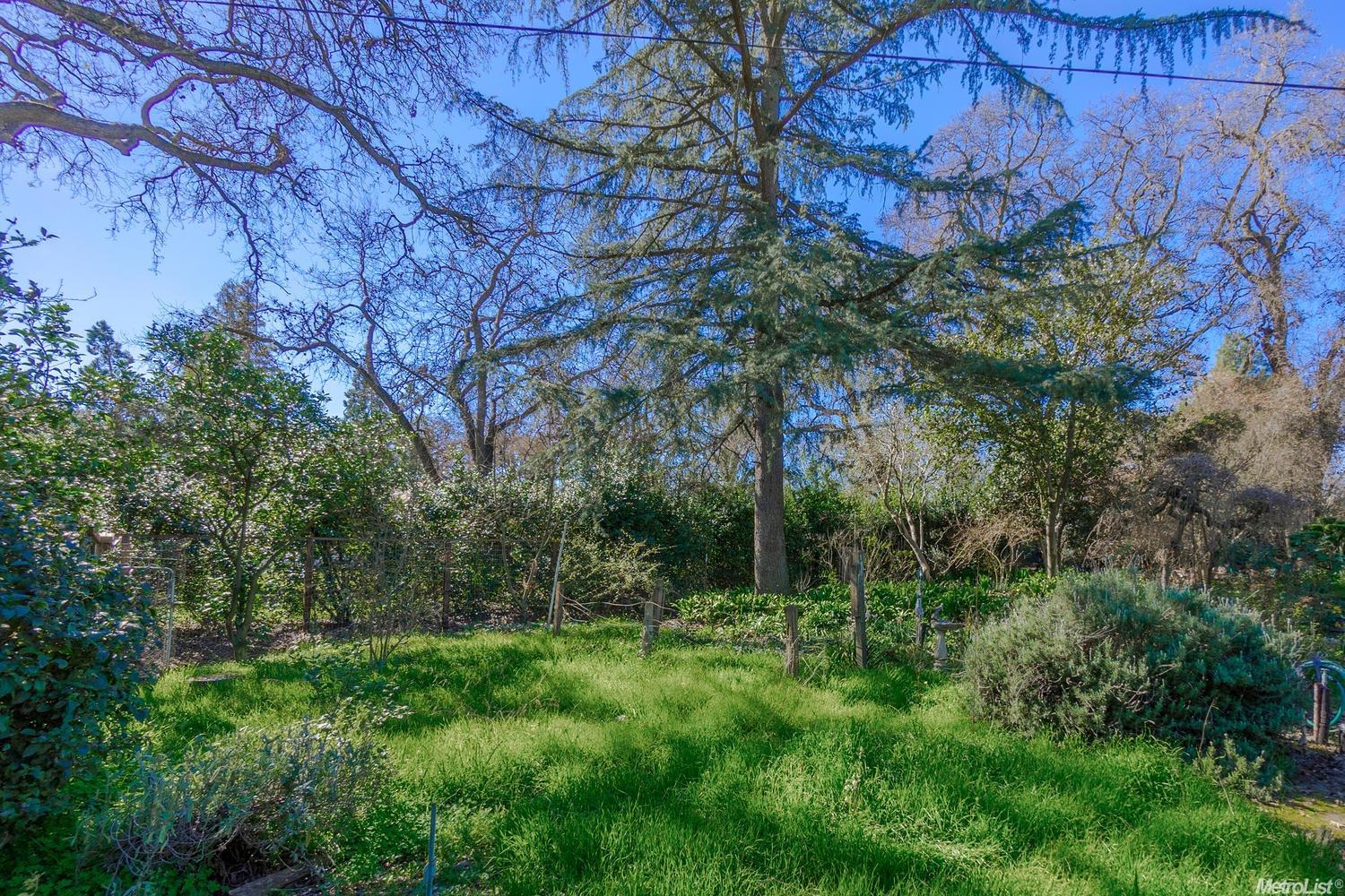 27354 Willowbank Rd, Davis, CA 95618 photo 7