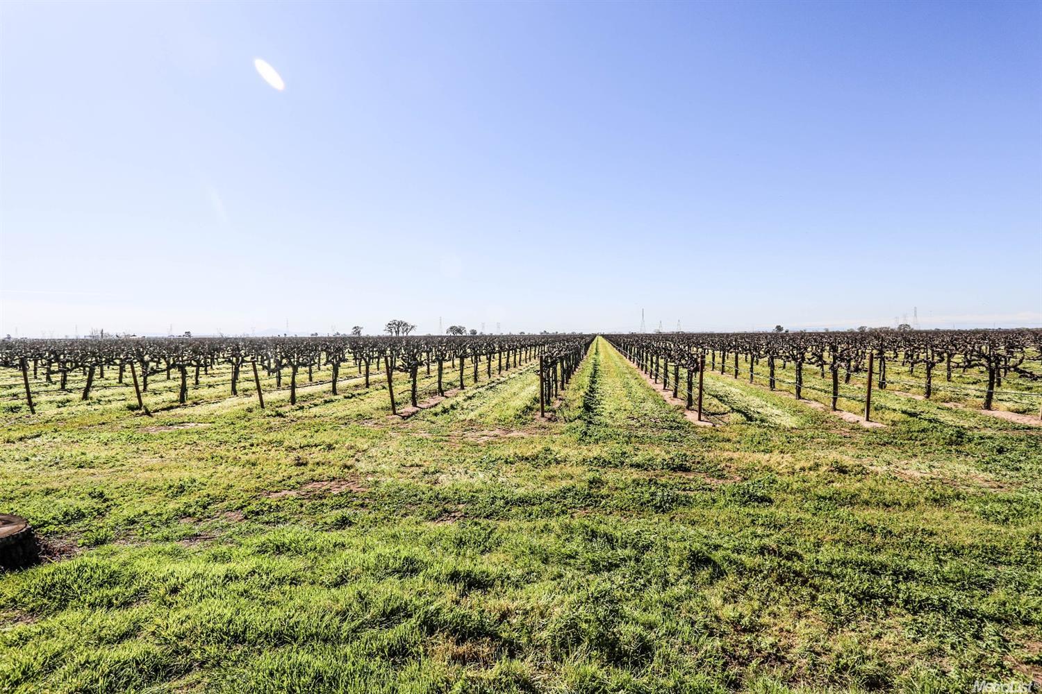 21999 N Ray Rd, Lodi, CA 95242 photo 16