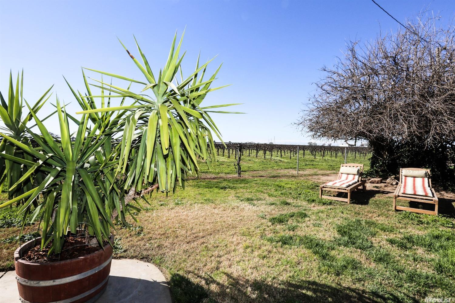 21999 N Ray Rd, Lodi, CA 95242 photo 21