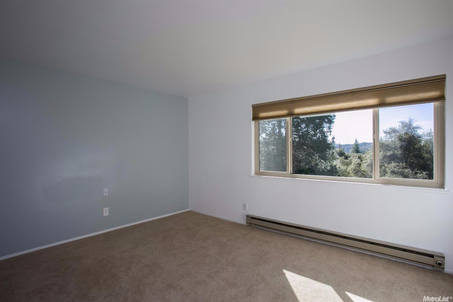 3560 Big Cut Rd, Placerville, CA 95667 photo 21