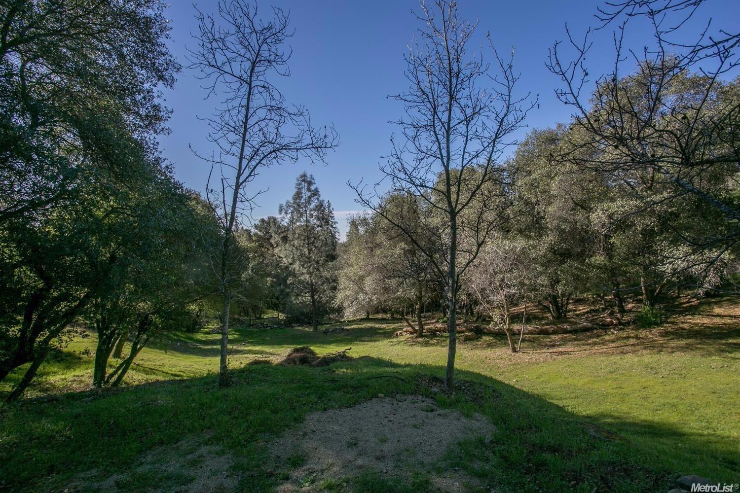3560 Big Cut Rd, Placerville, CA 95667 photo 17