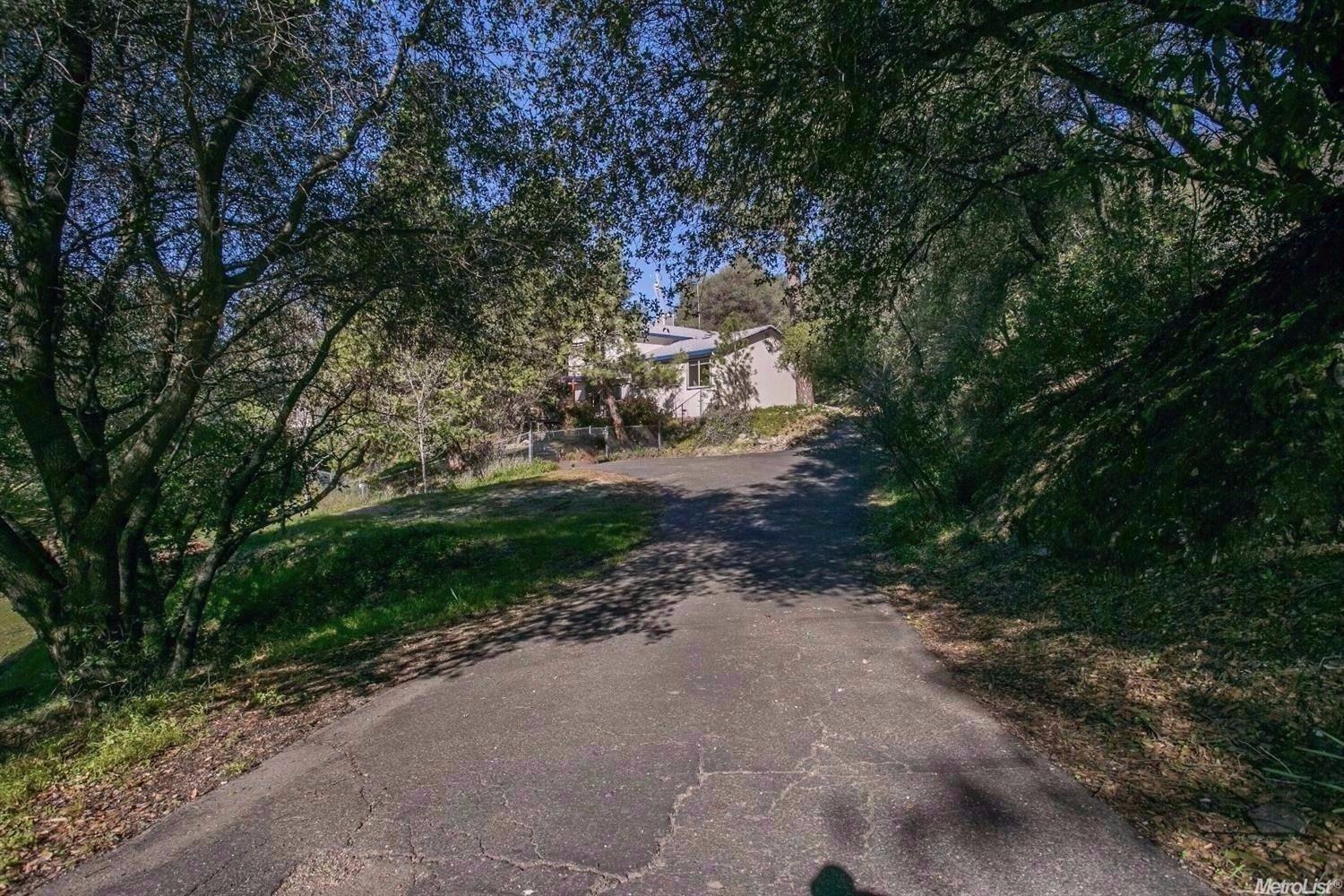 3560 Big Cut Rd, Placerville, CA 95667 photo 6