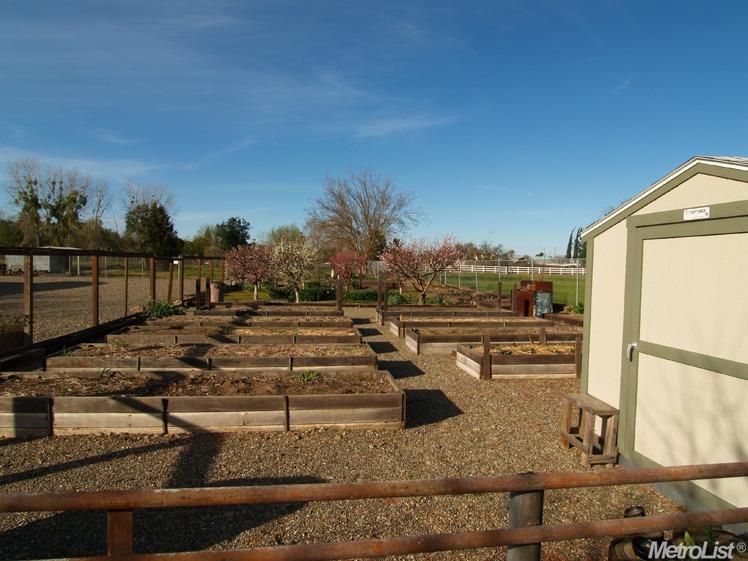 1669 Elm Ave, Modesto, CA 95358 photo 23