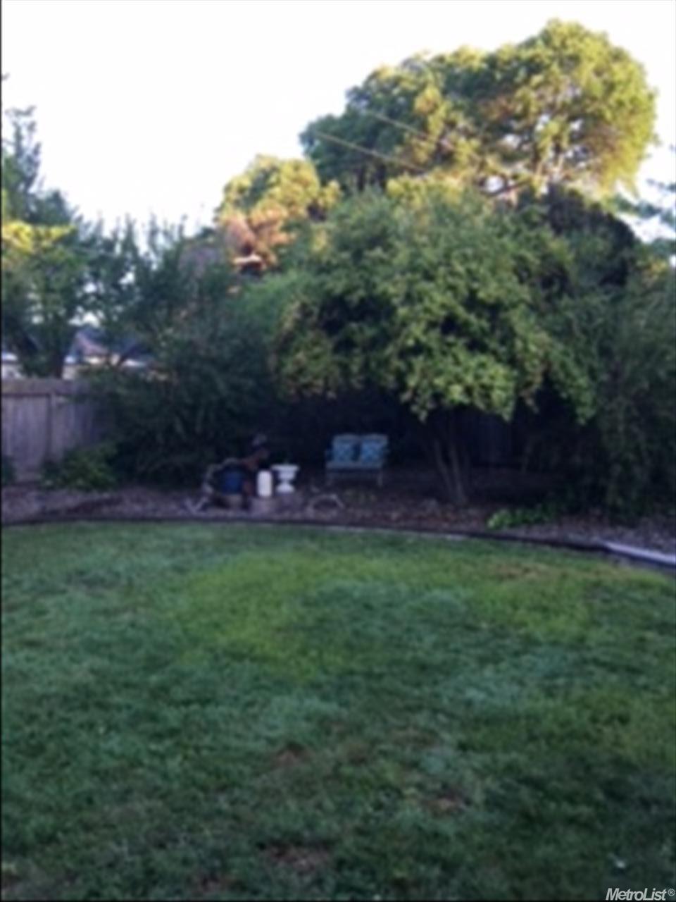 4419 Otis Ct, Carmichael, CA 95608 photo 5
