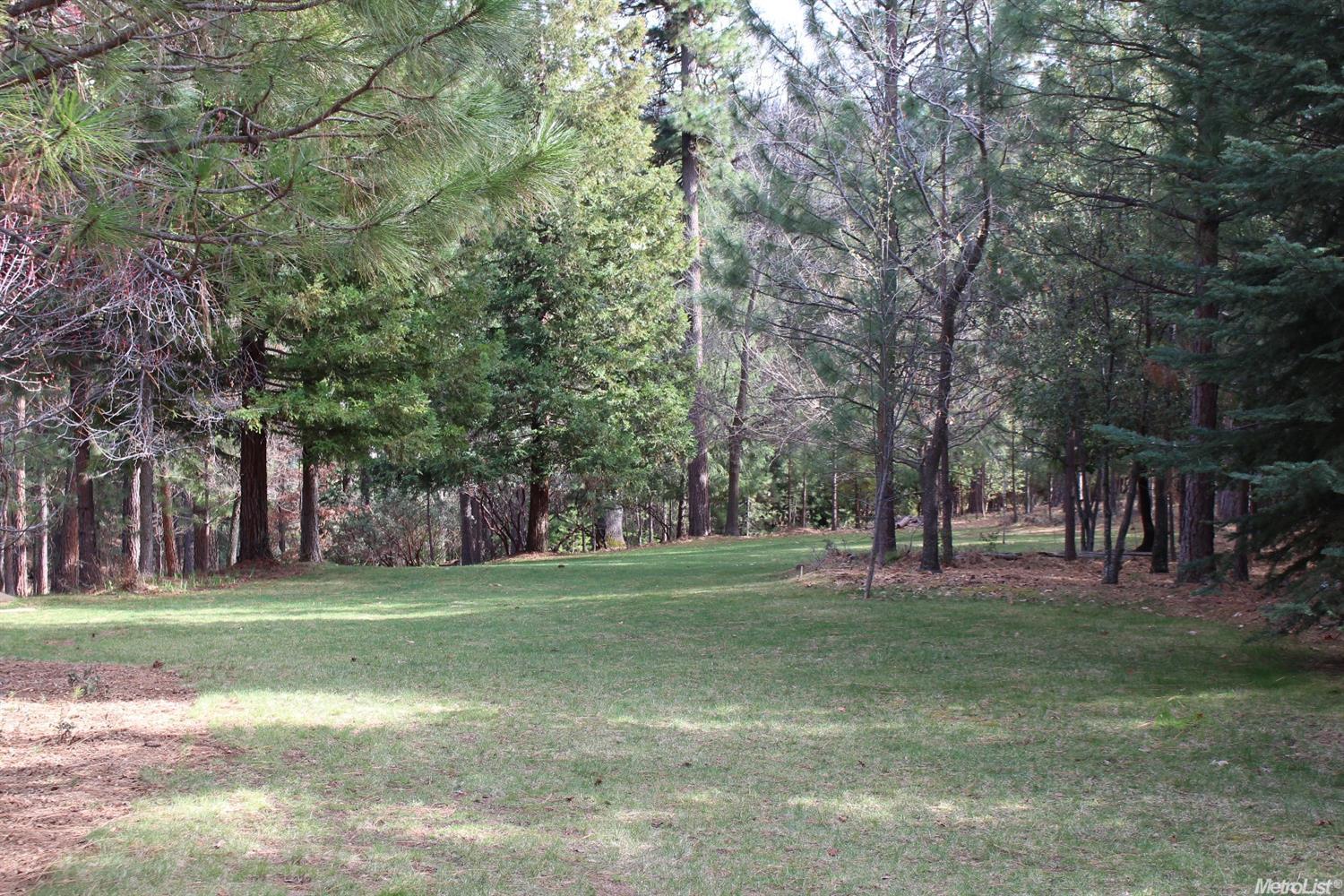 5277 Wolfhan, Placerville, CA 95667 photo 8