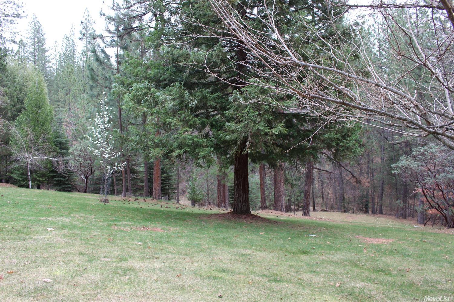 5277 Wolfhan, Placerville, CA 95667 photo 25