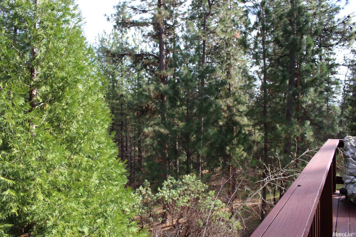 5277 Wolfhan, Placerville, CA 95667 photo 19