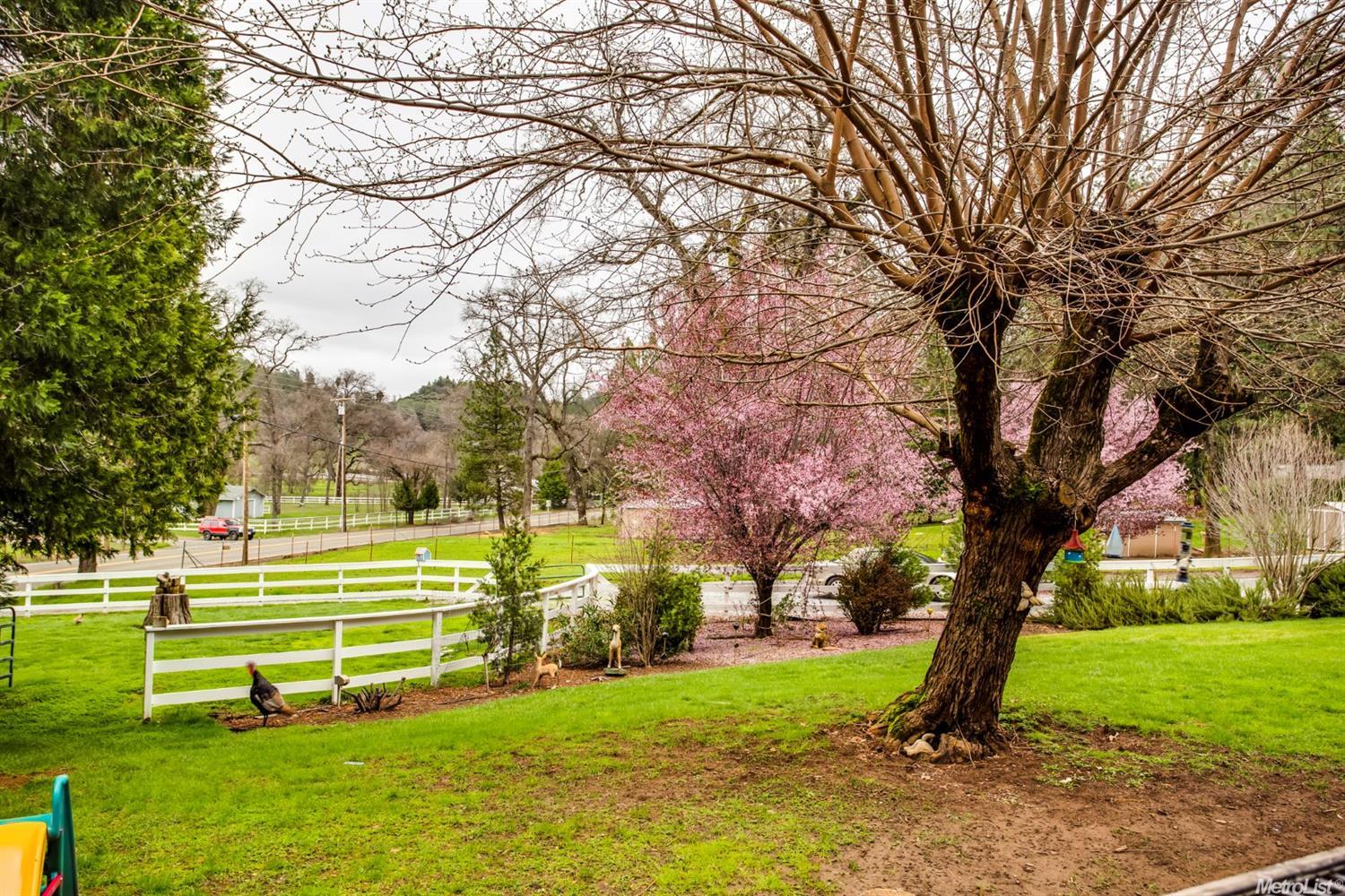 3270 Pleasant Valley Rd, Placerville, CA 95667 photo 16