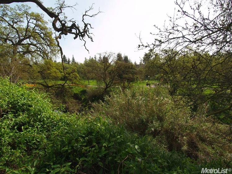 428 The Blf, Modesto, CA 95355 photo 25