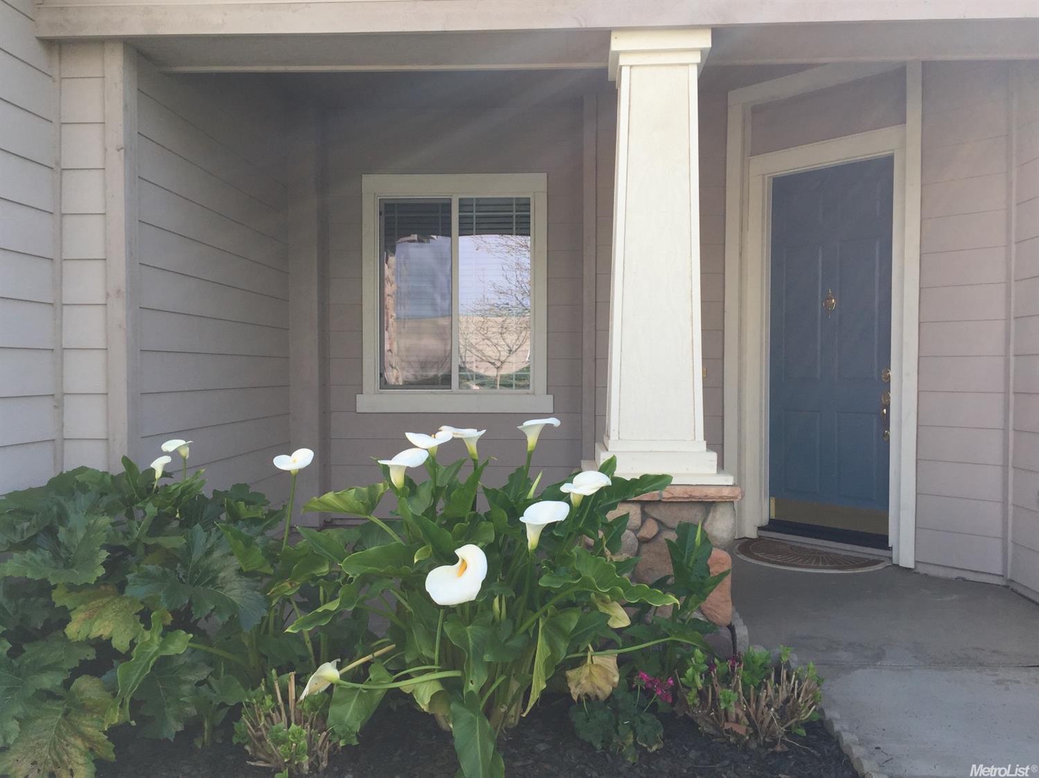 1642 Calhoun Ave, Ripon, CA 95366 photo 3