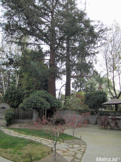 120 S Crescent Ave, Lodi, CA 95240 photo 25