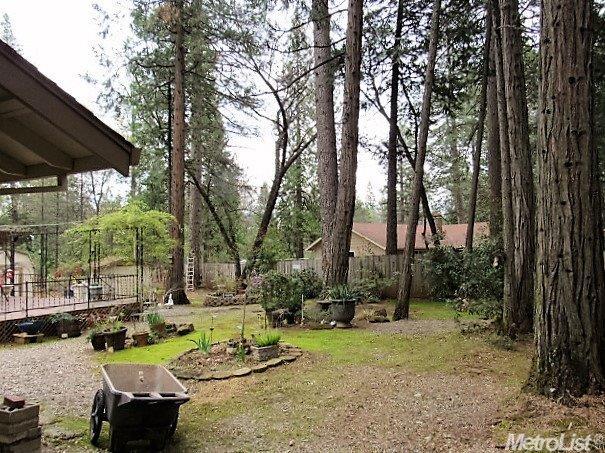 12960 Eldel Rd, Pine Grove, CA 95665 photo 16