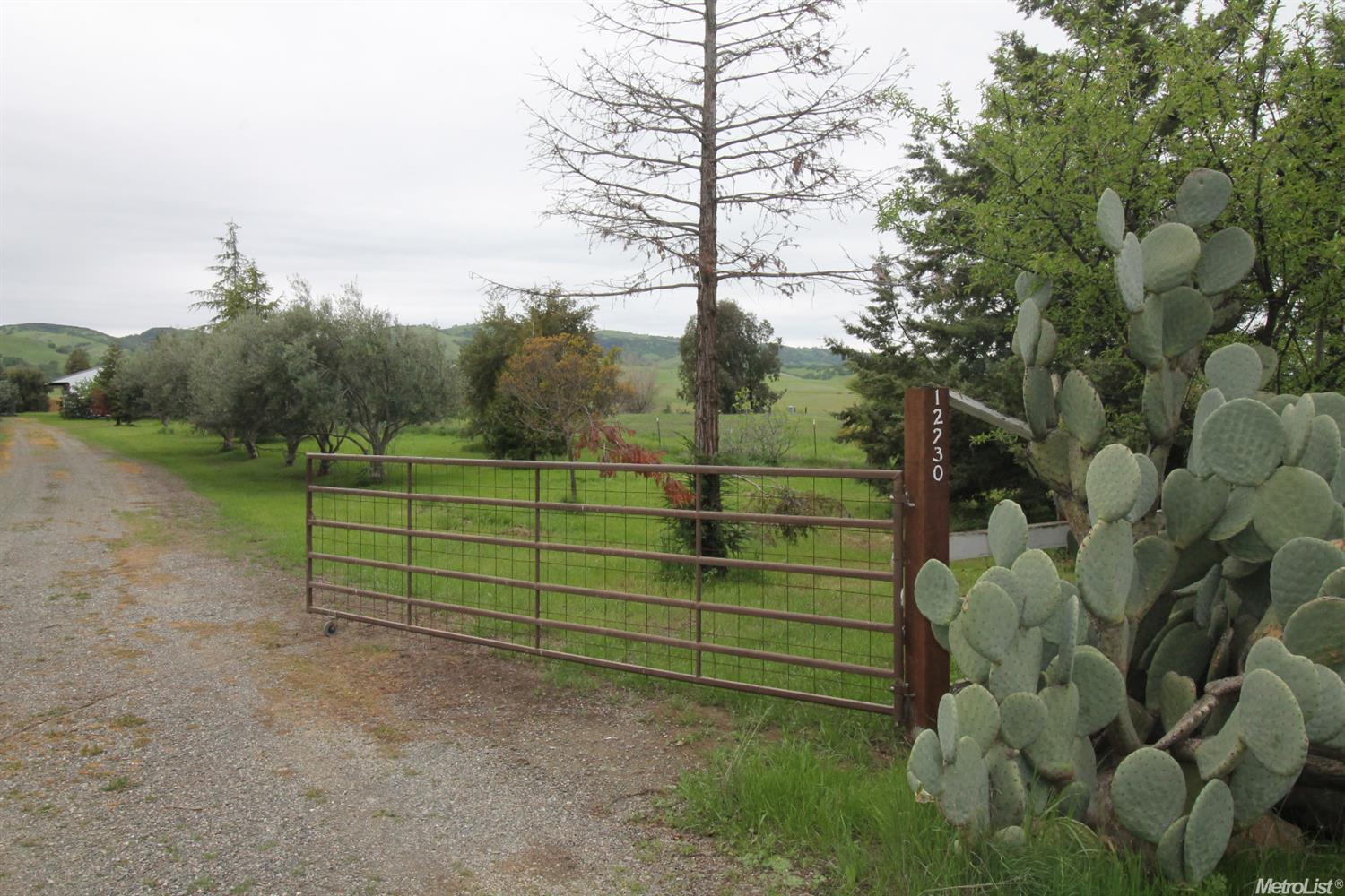12226 County Road 84a, Capay, CA 95607 photo 24