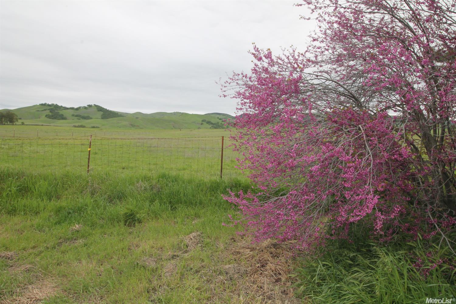 12226 County Road 84a, Capay, CA 95607 photo 18