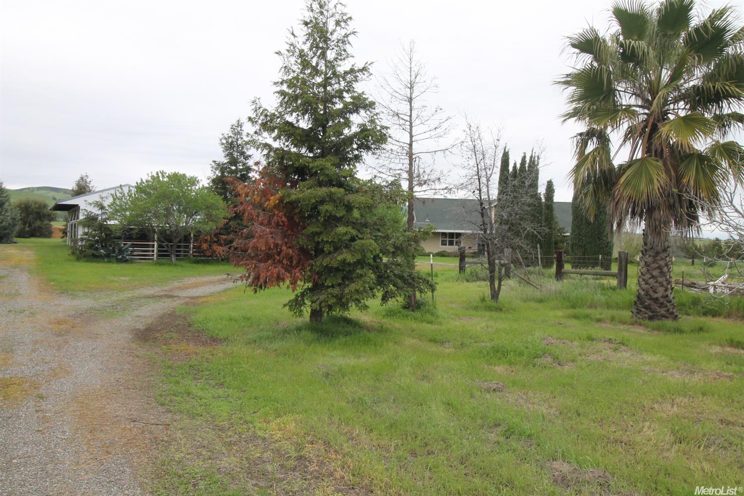 12226 County Road 84a, Capay, CA 95607 photo 21