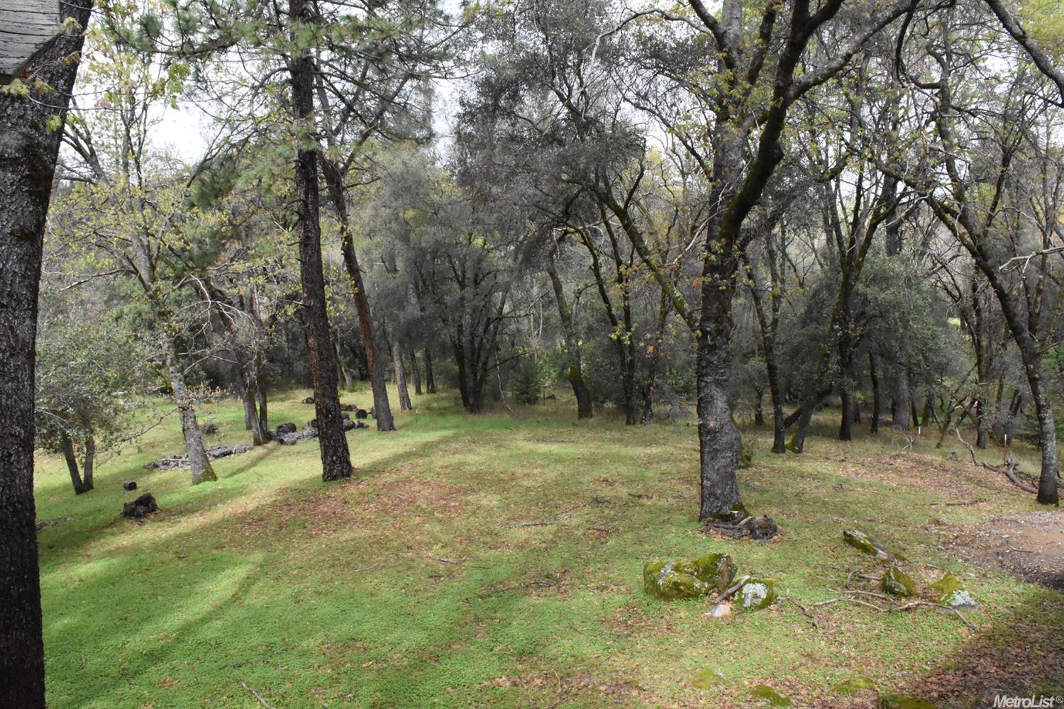 1475 Brandy Ln, Placerville, CA 95667 photo 4