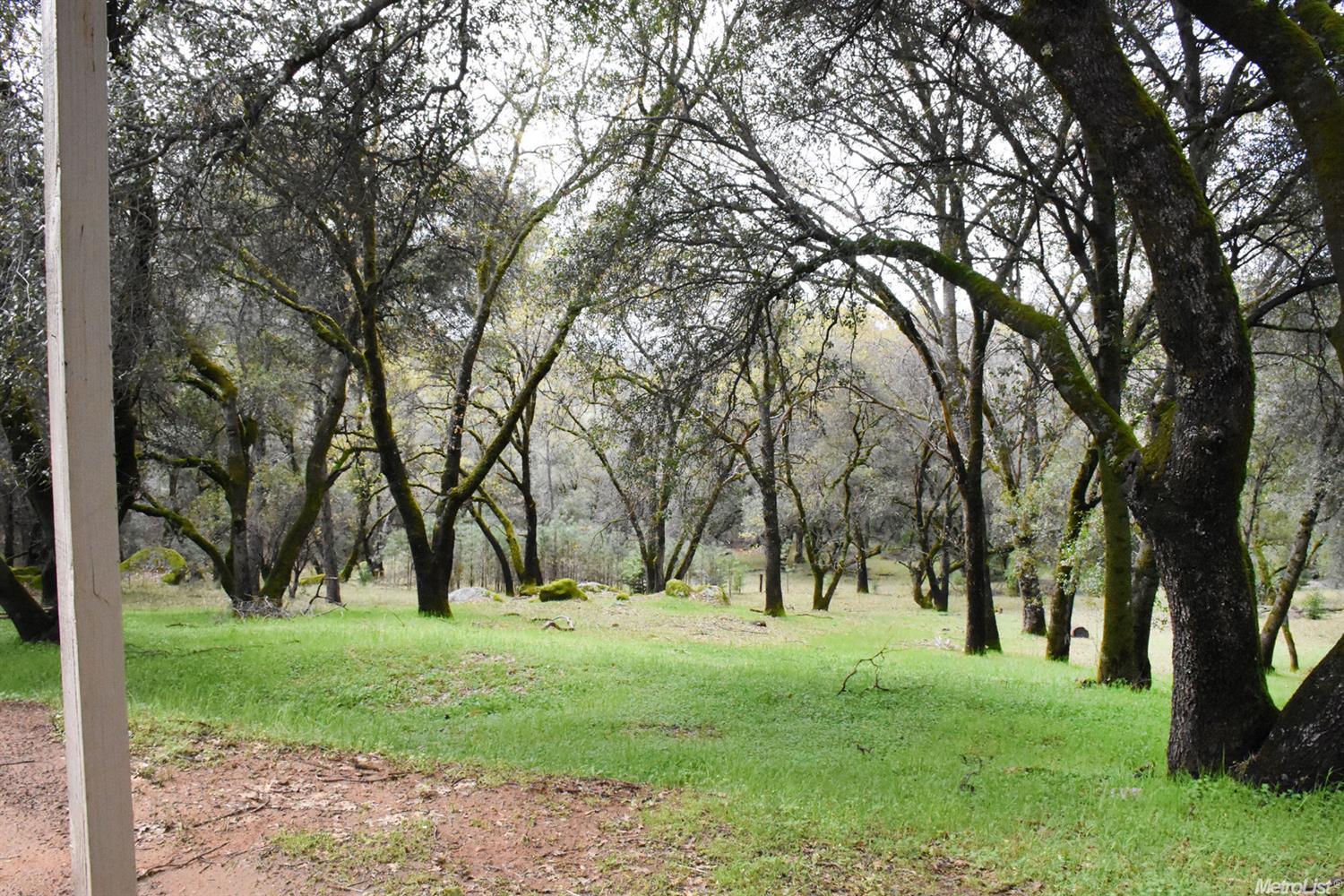 1475 Brandy Ln, Placerville, CA 95667 photo 2