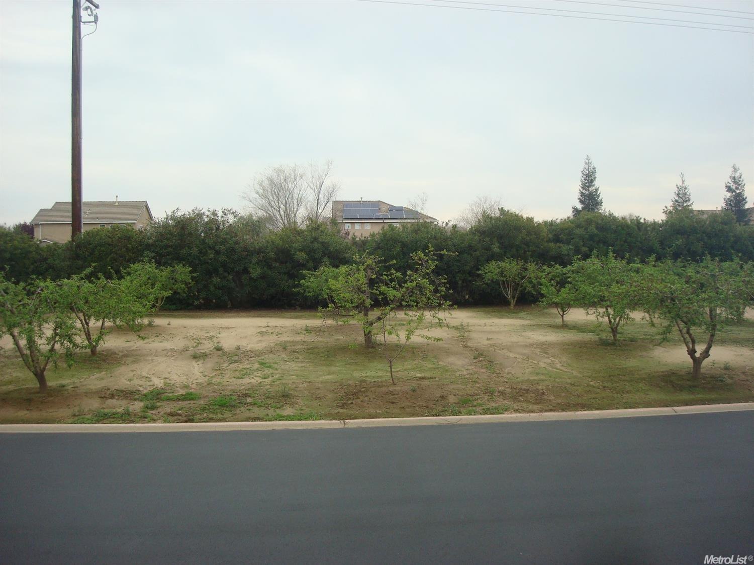 1500 Held Dr #53, Modesto, CA 95355 photo 5
