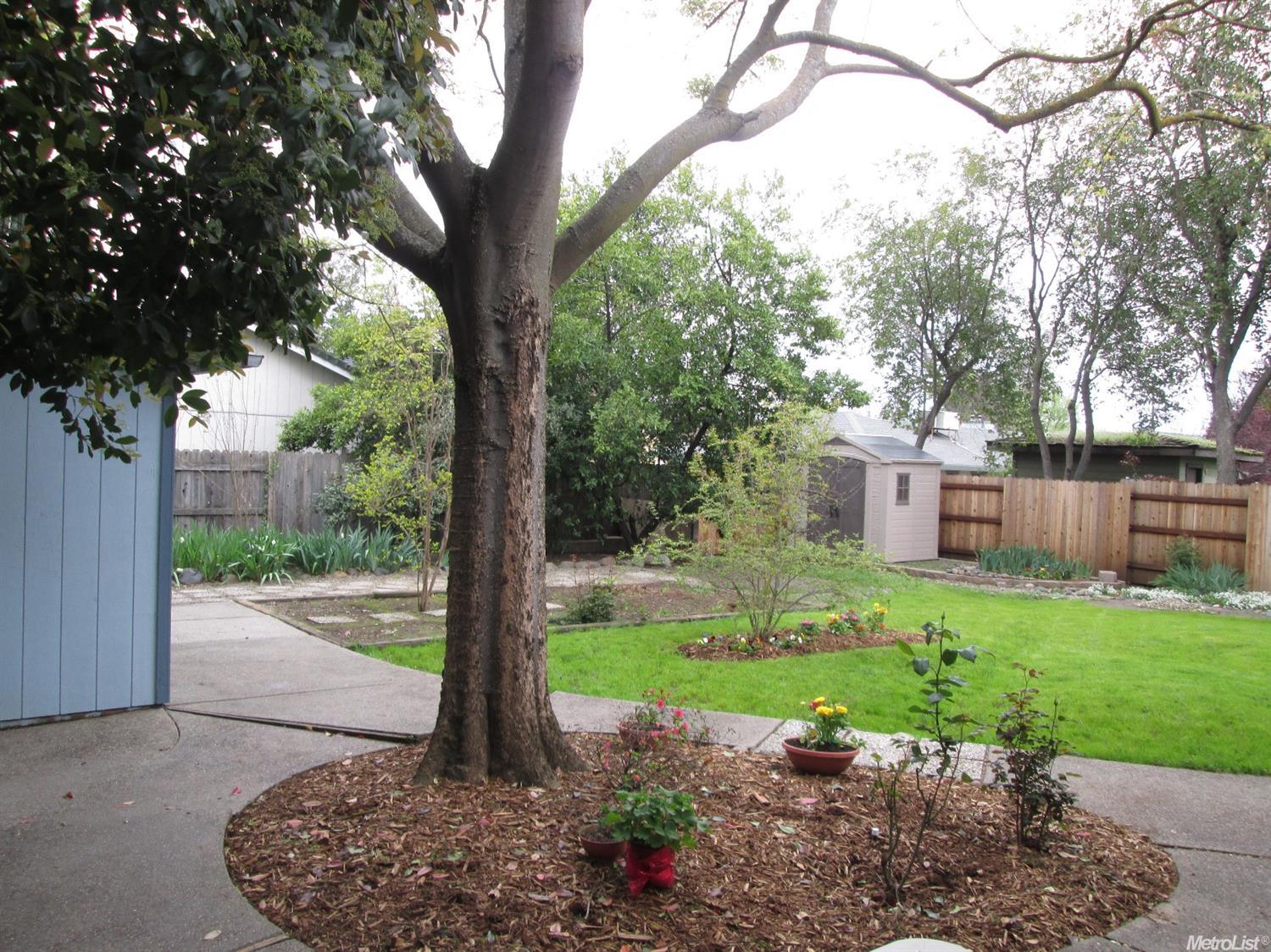 3227 Petty Ln, Carmichael, CA 95608 photo 20