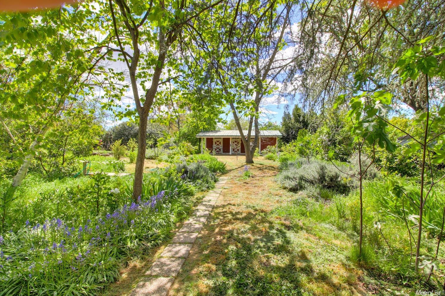 43401 Walnut Ln, Davis, CA 95618 photo 19