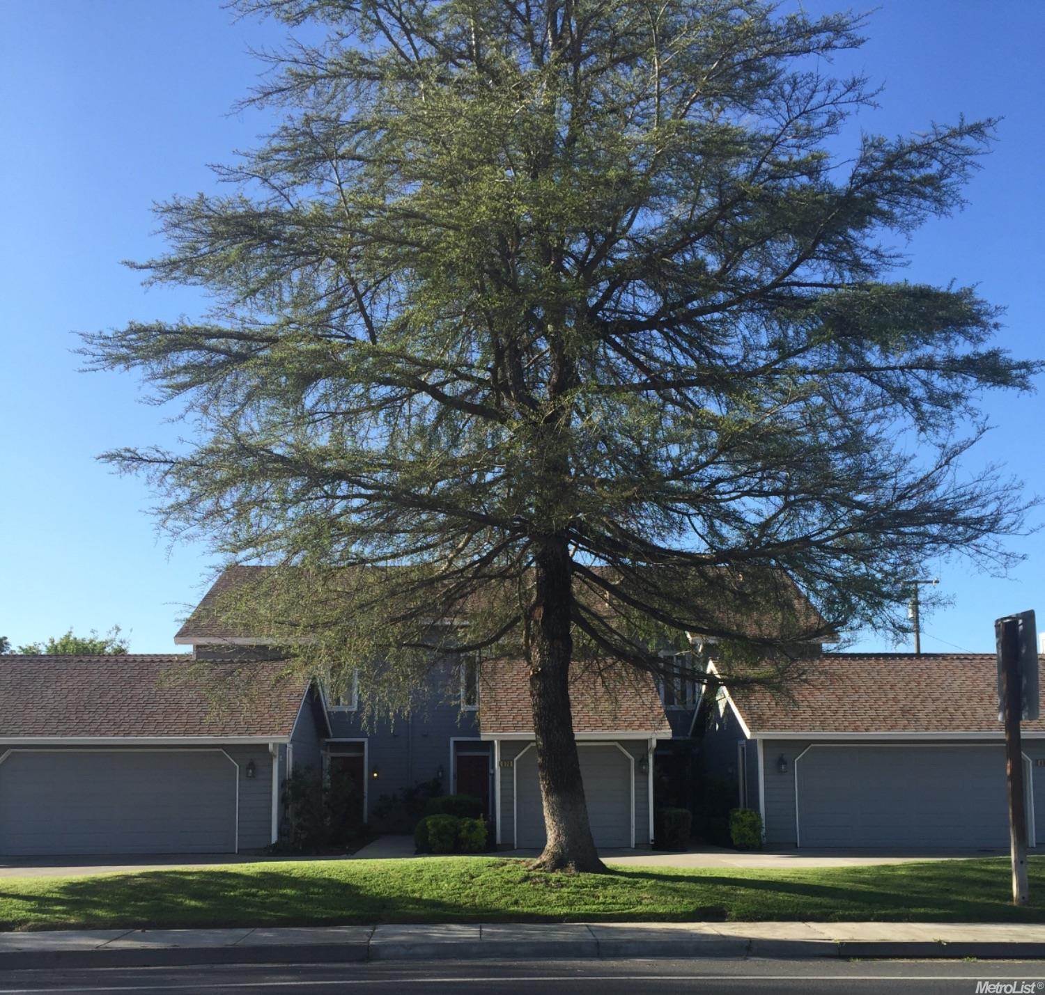 970 South Ave, Gustine, CA 95322 photo 21
