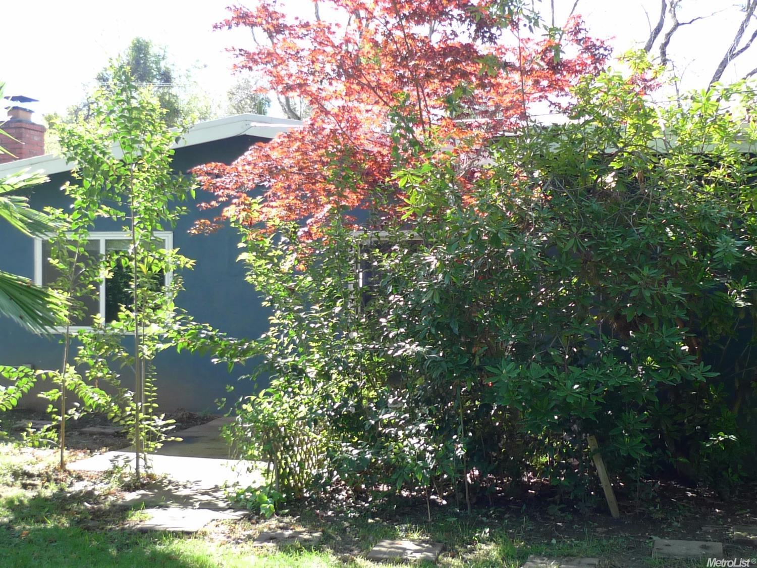 4901 Engle Rd, Carmichael, CA 95608 photo 15