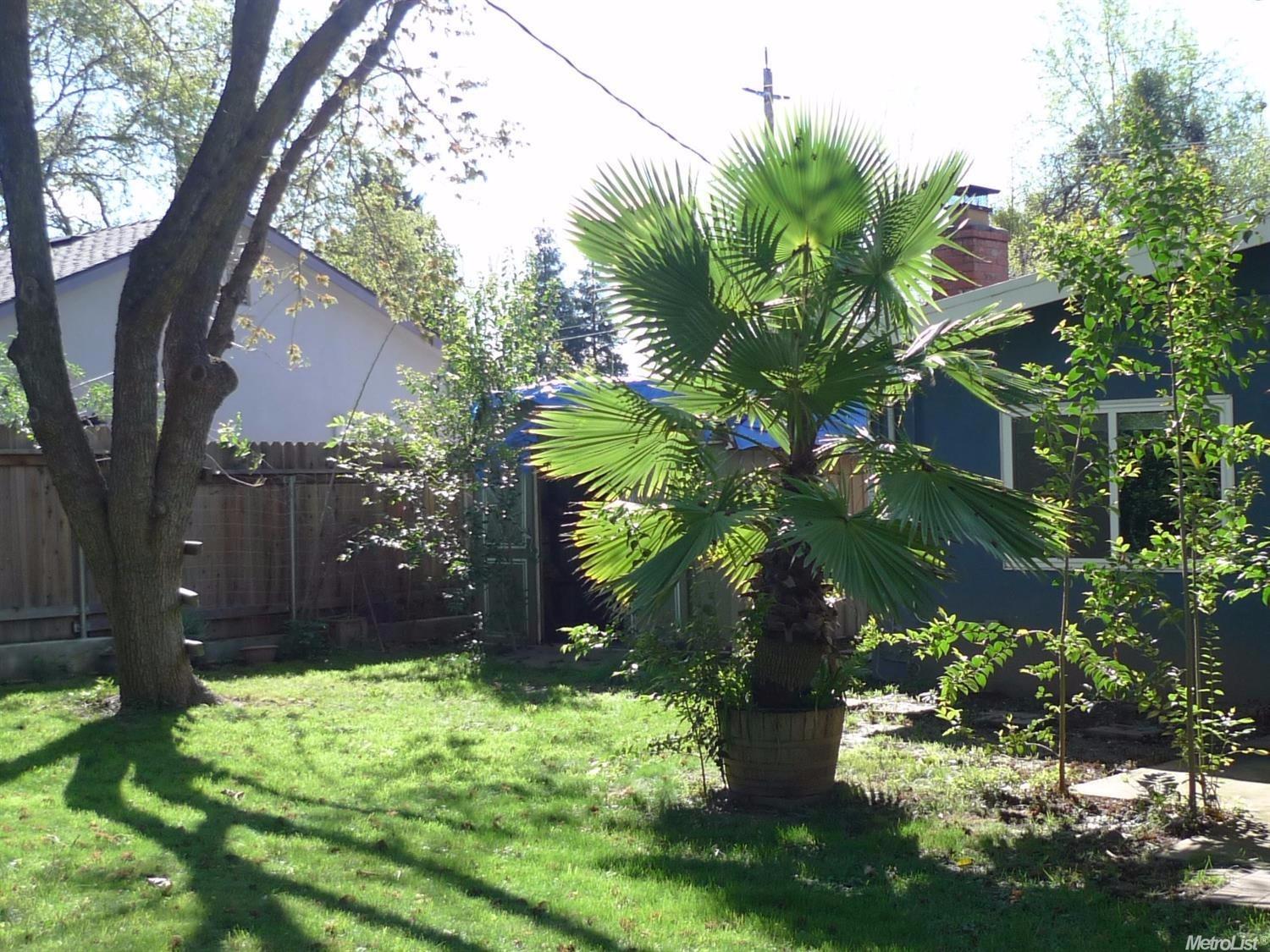 4901 Engle Rd, Carmichael, CA 95608 photo 16