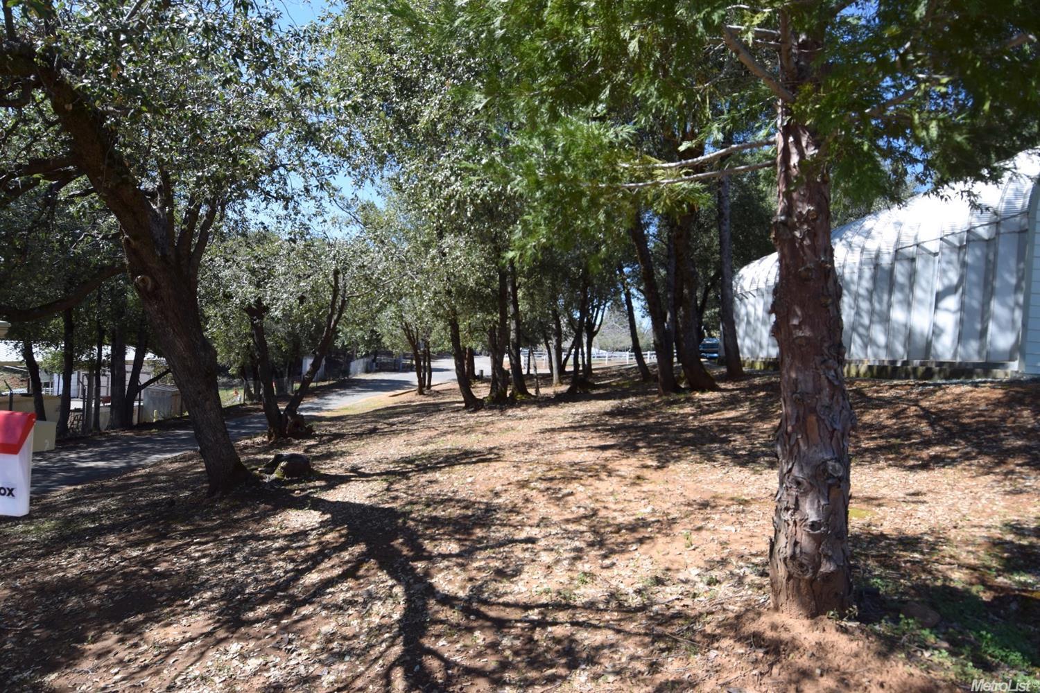 19581 Berry St, Pine Grove, CA 95665 photo 7