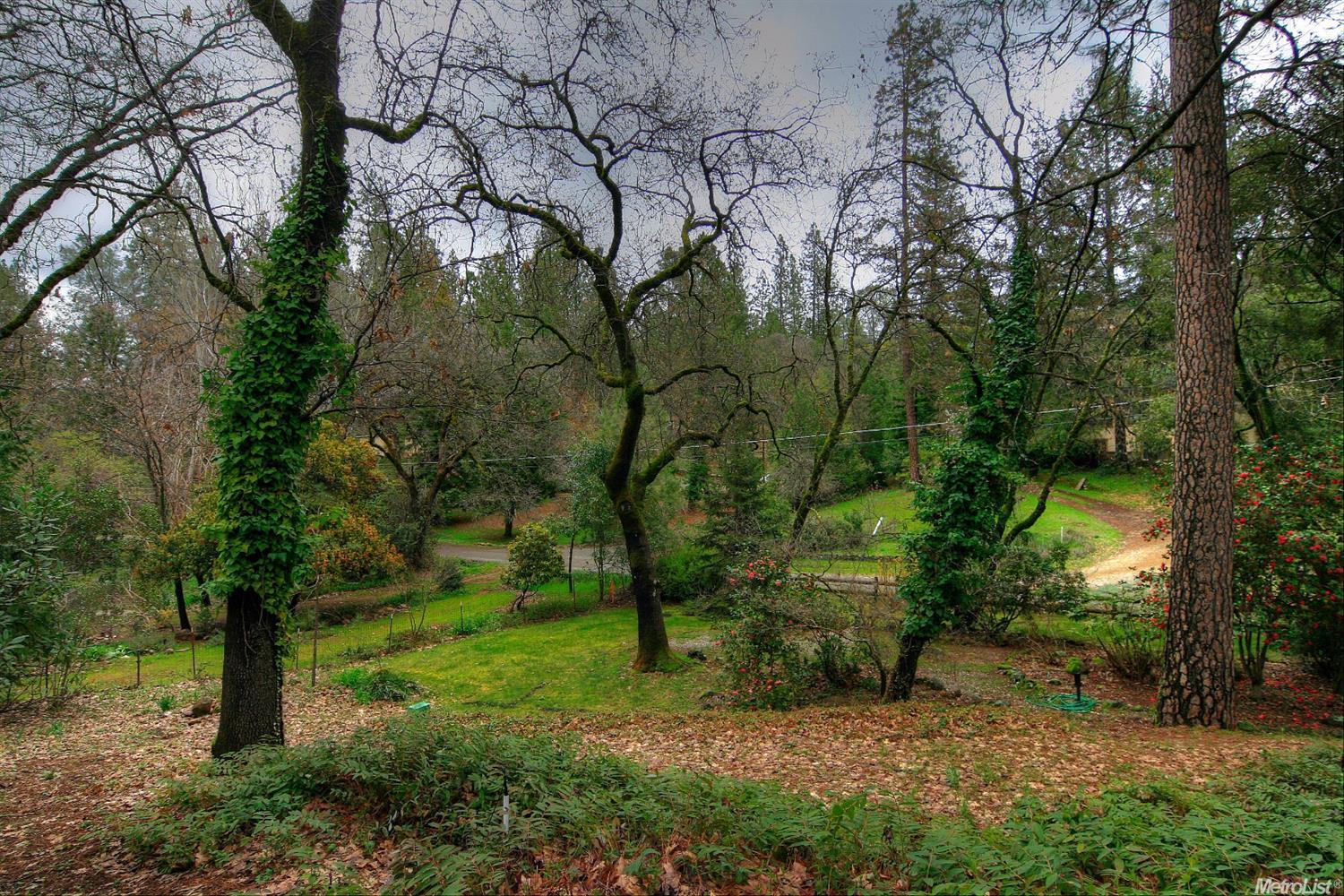 810 Timber Hills Rd, Colfax, CA 95713 photo 3