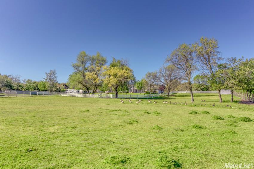 7201 Wells Ave, Loomis, CA 95650 photo 25