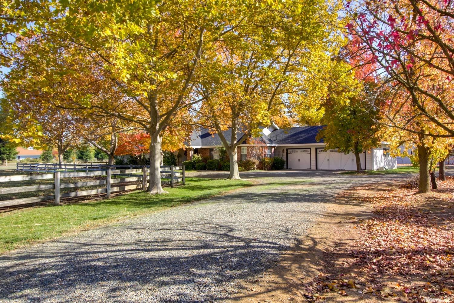 8771 Dillard Rd, Wilton, CA 95693 photo 25