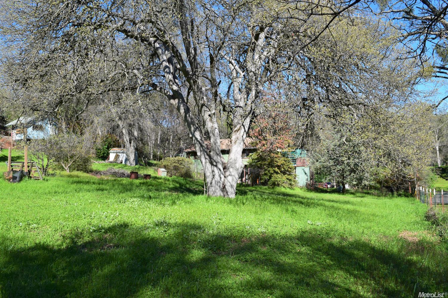 20120 Chipmunk Rd, Sonora, CA 95370 photo 6