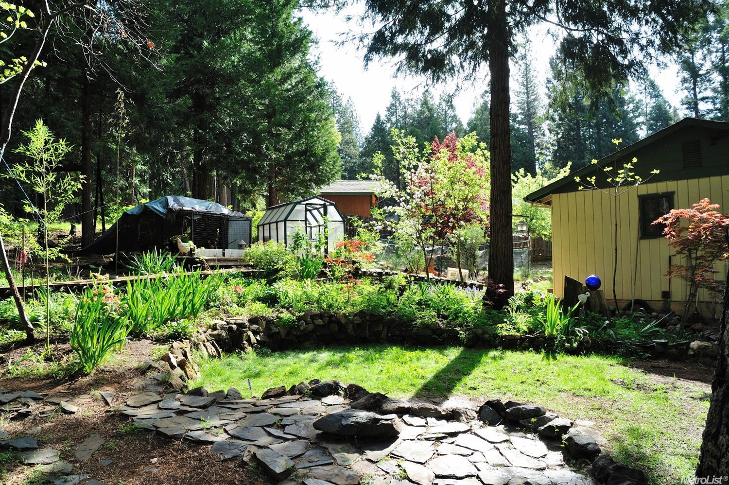 5407 Robert, Pollock Pines, CA 95726 photo 2