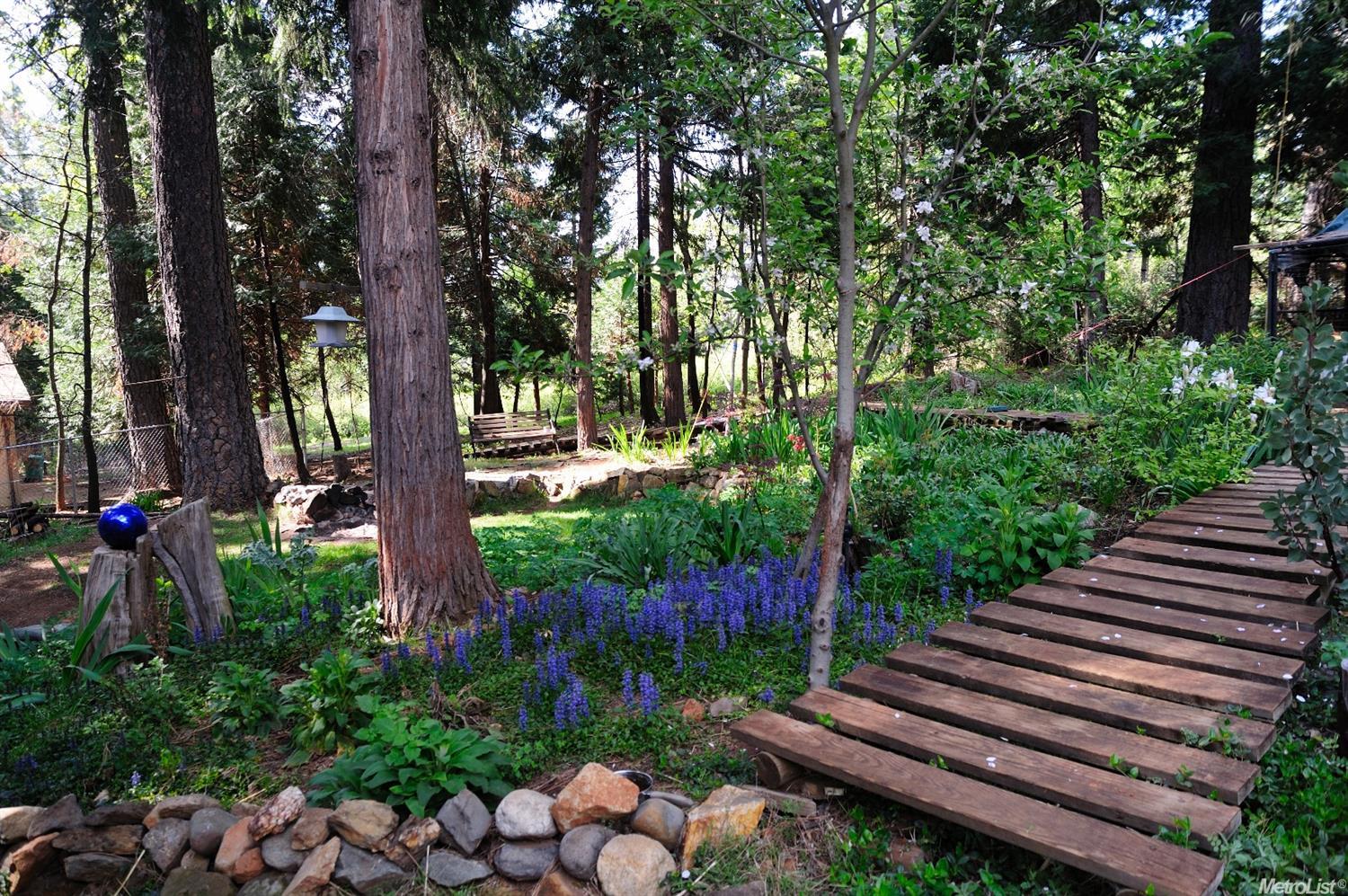 5407 Robert, Pollock Pines, CA 95726 photo 3