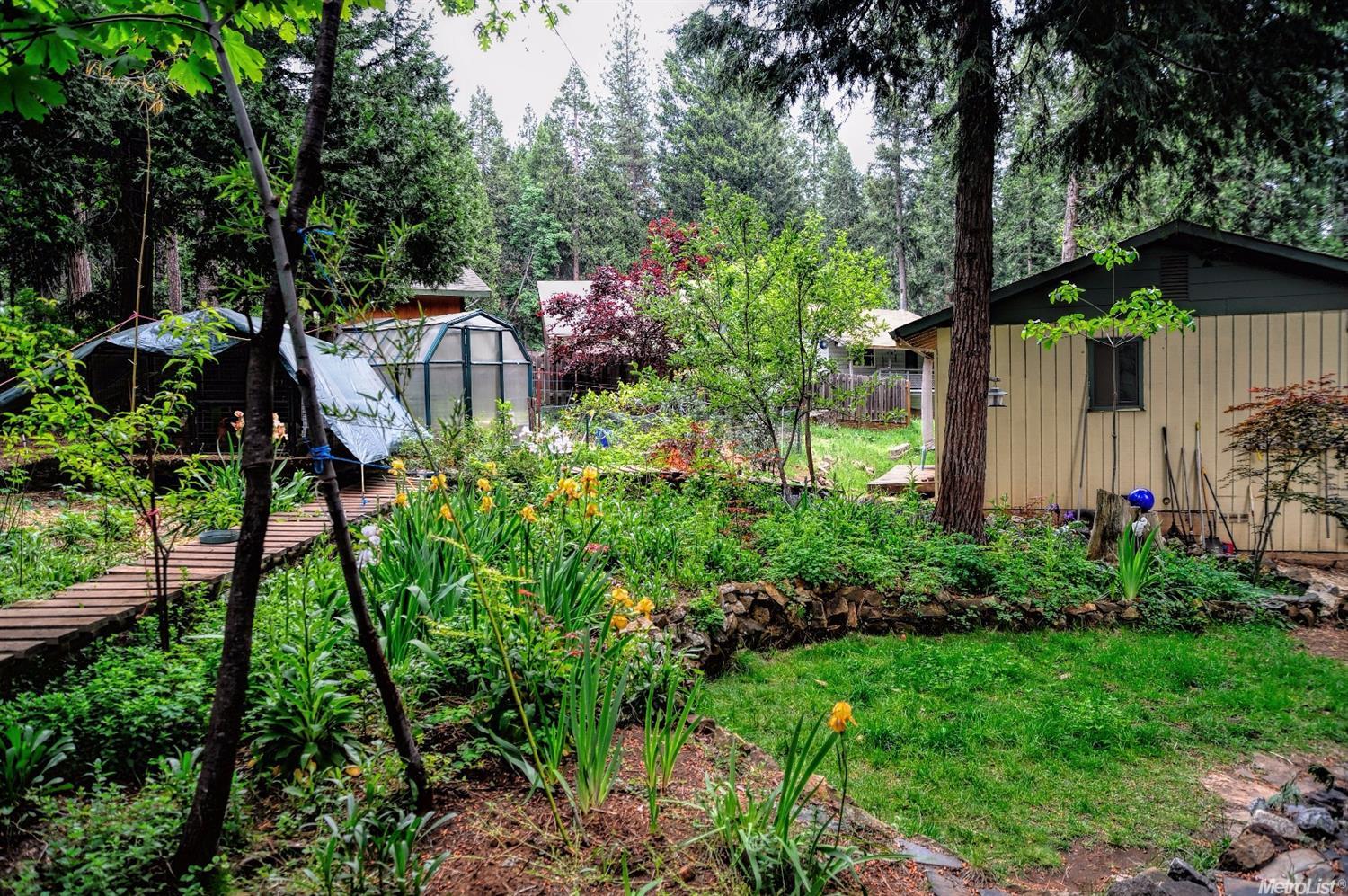5407 Robert, Pollock Pines, CA 95726 photo 4