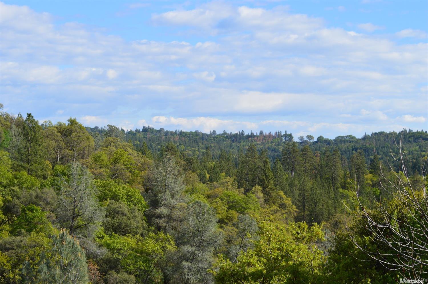 3164 Texas Hill Rd, Placerville, CA 95667 photo 13
