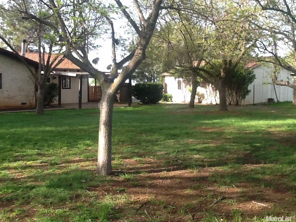 20930 Live Oak Way, Red Bluff, CA 96080 photo 19
