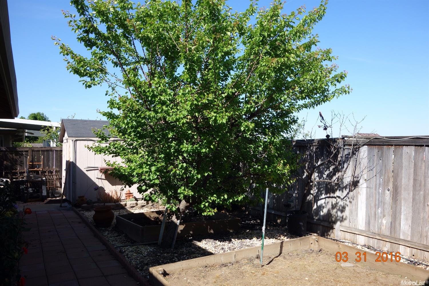 1103 Roosevelt Ave, Winters, CA 95694 photo 22