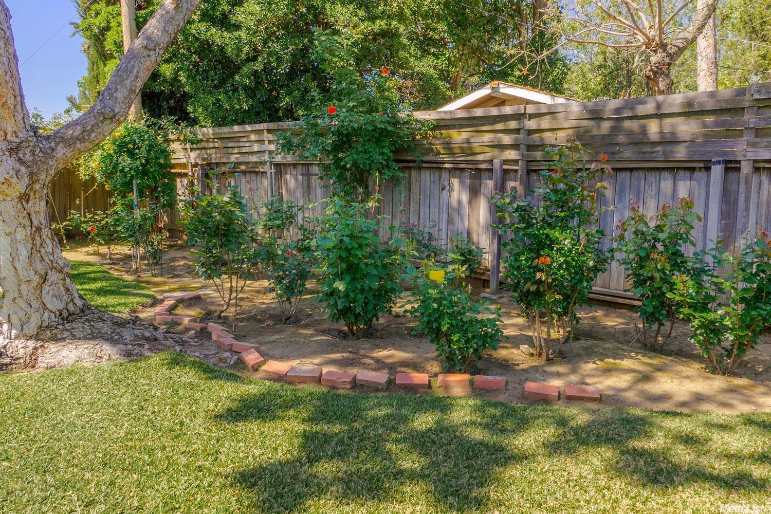 1637 Baywood Ln, Davis, CA 95618 photo 6