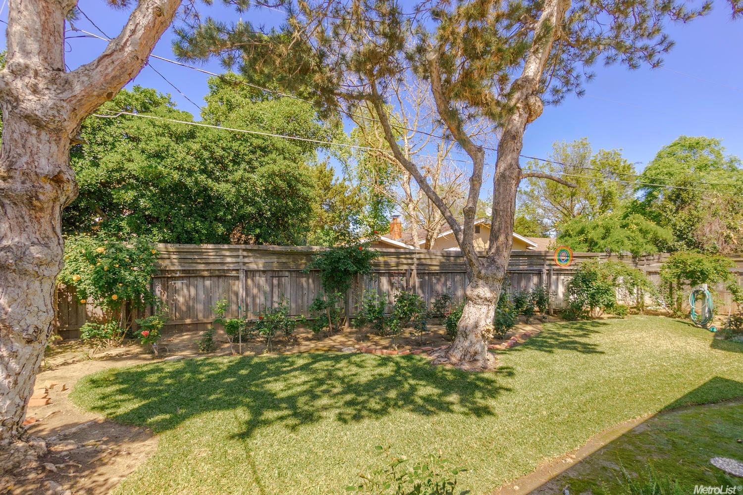 1637 Baywood Ln, Davis, CA 95618 photo 3