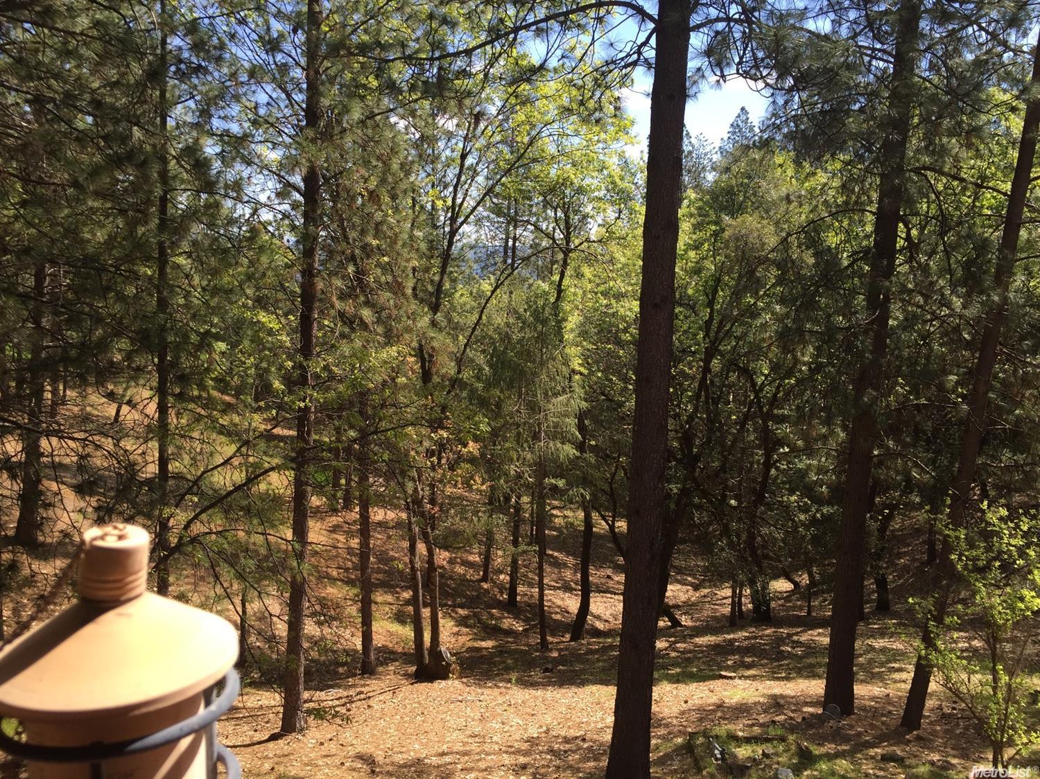 18624 Dunvegan Dr, Applegate, CA 95703 photo 20
