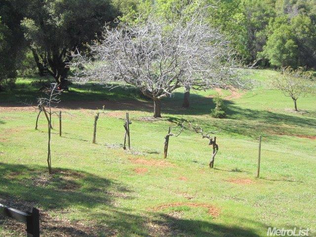 3050 Dyer Way, Placerville, CA 95667 photo 4
