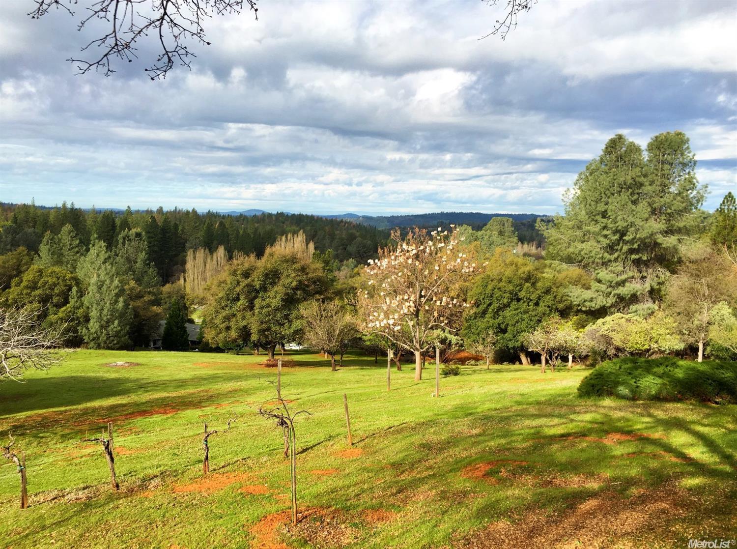 3050 Dyer Way, Placerville, CA 95667 photo 18
