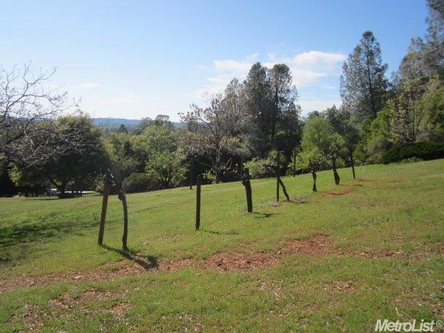 3050 Dyer Way, Placerville, CA 95667 photo 17