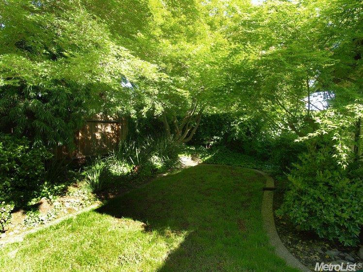 3805 Beyer Park Dr, Modesto, CA 95355 photo 25