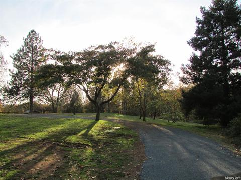 20300 Meyer Rd, Grass Valley, CA 95945 photo 26