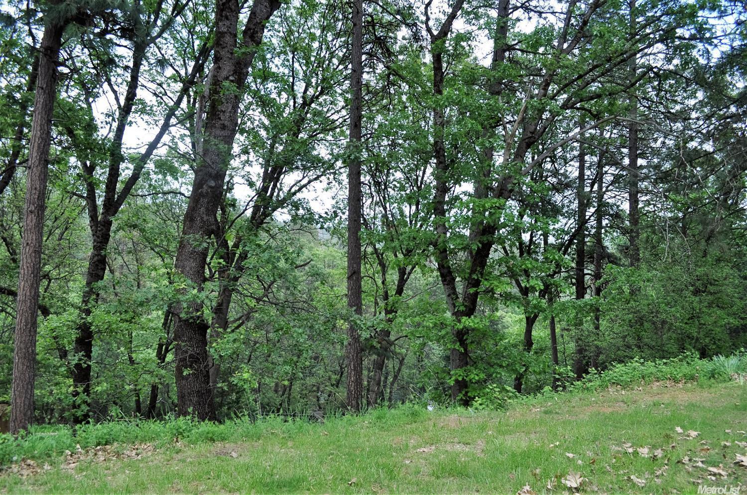 1205 Rough And Ready Hl, Colfax, CA 95713 photo 18