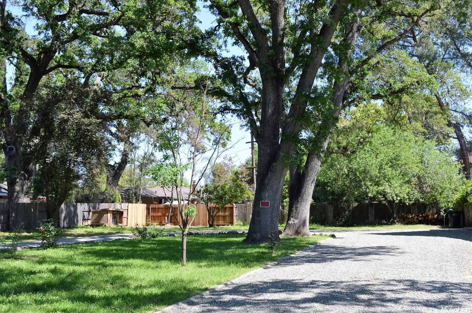 3126 Walnut Ave, Carmichael, CA 95608 photo 5